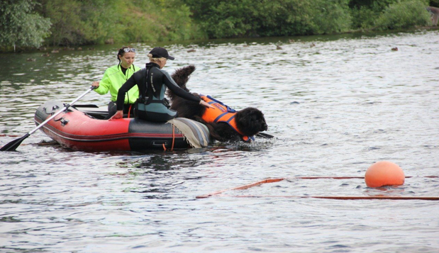 �� ������� ������� �� ����������� ����� �������� ������������ ���������