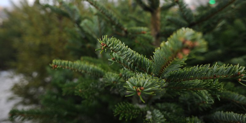 �� ����������� �������� ������ � ������ ����� ����� � ������ ����!�