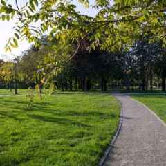 �� �������� ������ ����� ������ �� ��������������� ���� ������ �� ����������� �����