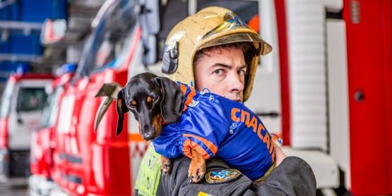 ������������ �������� ���������� ���������� ������ ������� � ��������� �������� ���� ������