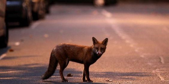 ����� �������� � ������: ���������� ��������� ������������, ��� ��������� ���� �����