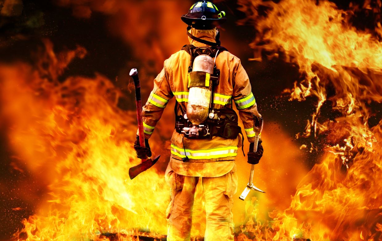 31-��� ��� �������� ������ ������ ������ ������� ���� 216-�����.